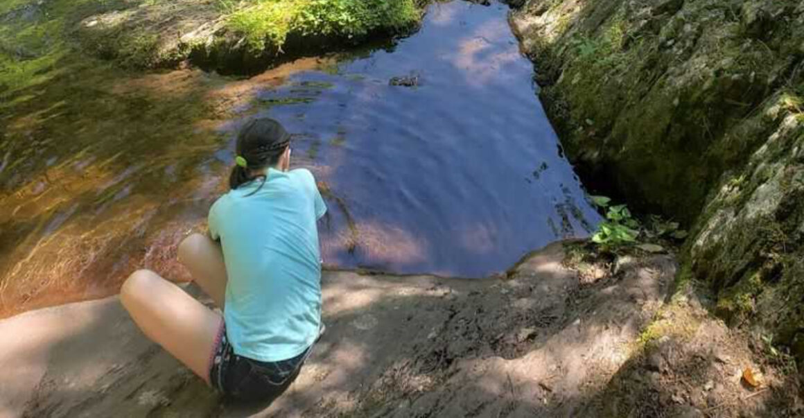 this easy stokes state forest hike is one of new jerseys prettiest escapes