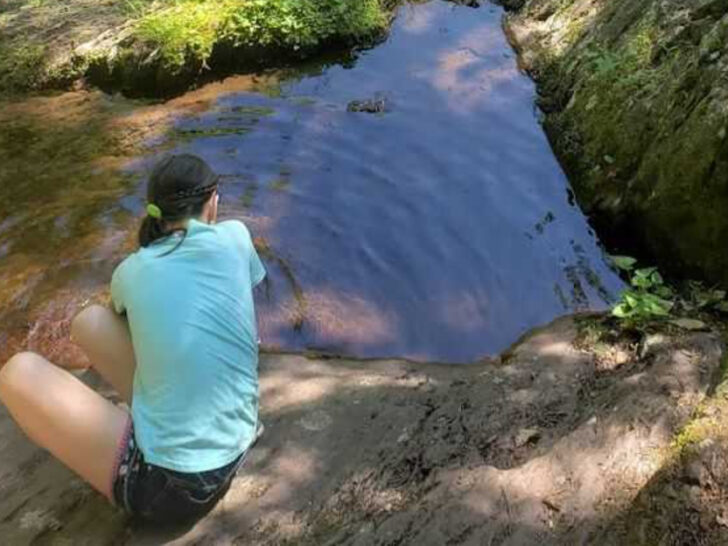 This Easy Stokes State Forest Hike Is One of New Jersey&rsquo;s Prettiest Escapes