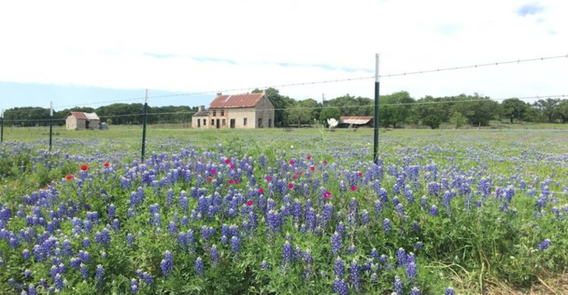 this gorgeous texas town is shockingly affordable and still undiscovered