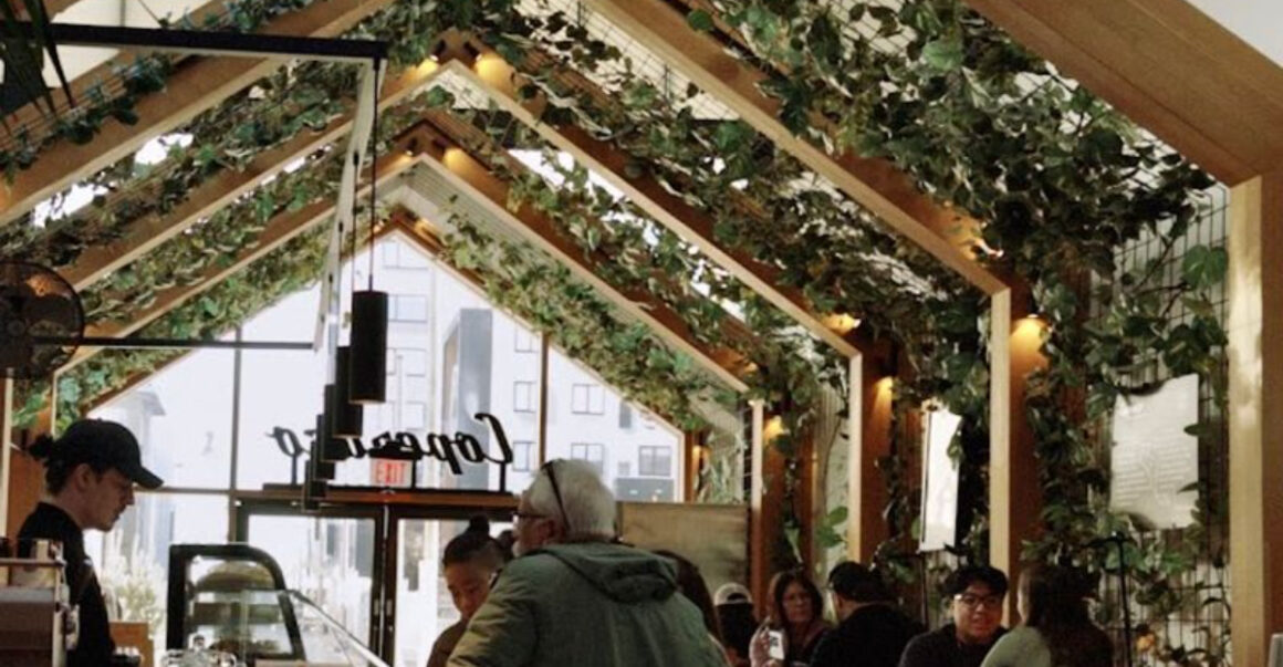 this harrison caf has an indoor treehouse and some of new jerseys best coffee