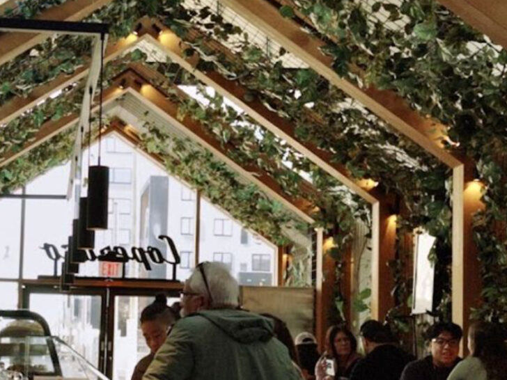 This Harrison Caf&eacute; Has an Indoor Treehouse and Some of New Jersey&rsquo;s Best Coffee