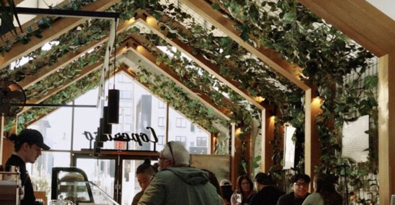 This Harrison Café Has an Indoor Treehouse and Some of New Jersey’s Best Coffee