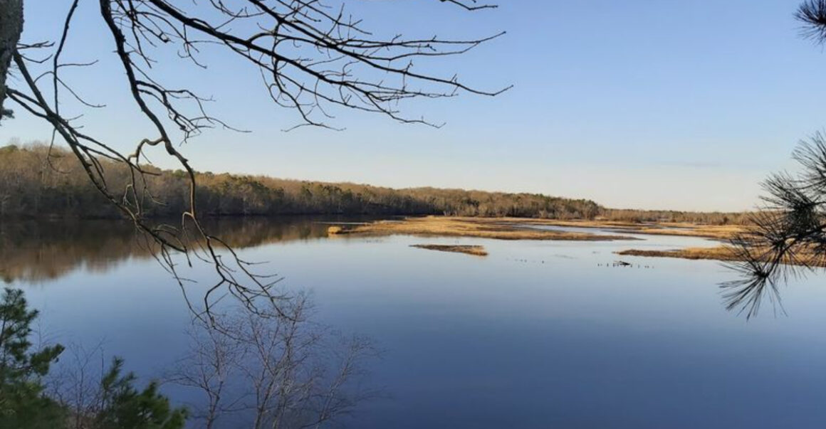 this hidden new jersey trail has bluffs river views and trees older than america