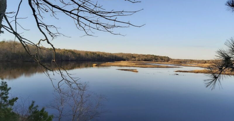 This Hidden New Jersey Trail Has Bluffs River Views and Trees Older Than America