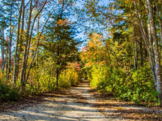this hidden new jersey trail turns a simple walk into something magical