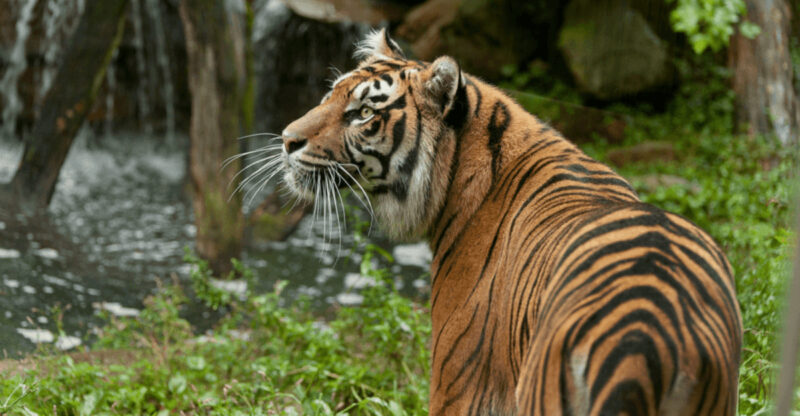 This Insanely Fun Road Trip Takes You To 9 Animal Parks In Ohio That Feel Like Africa