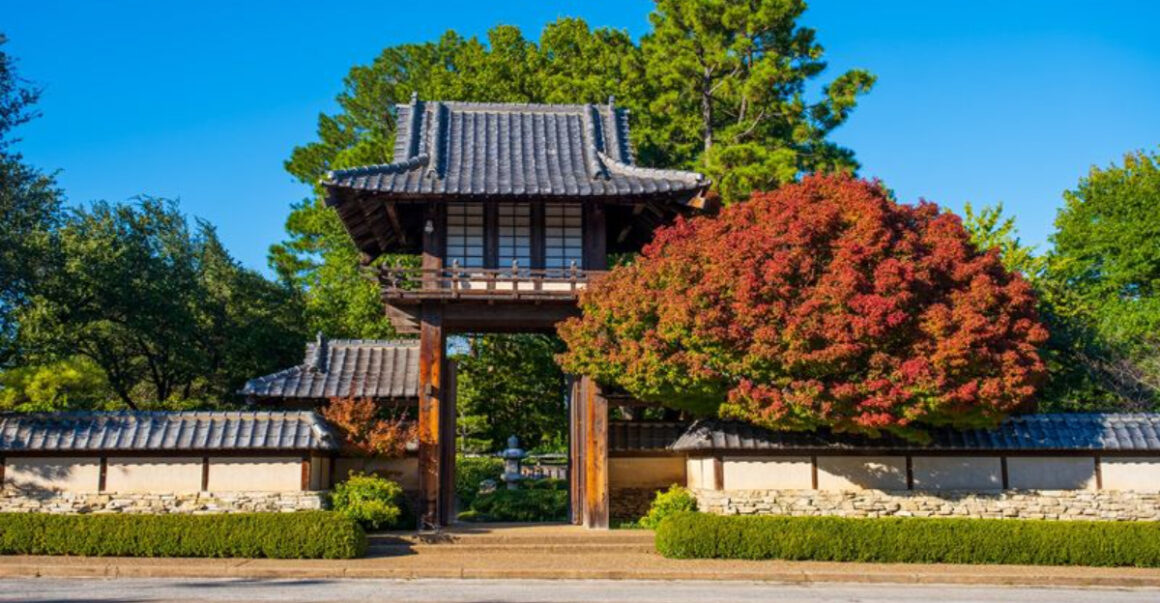 this is your sign to visit texas oldest botanic garden in 2026