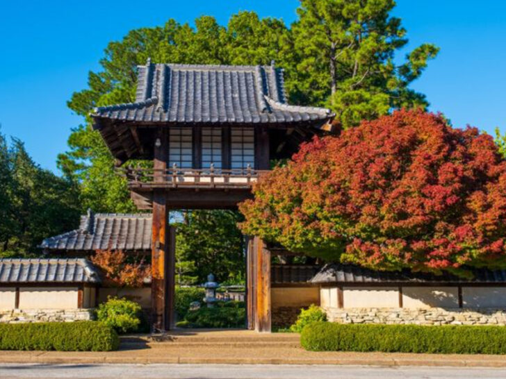 This Is Your Sign to Visit Texas&rsquo; Oldest Botanic Garden in 2026