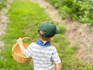 this new jersey blueberry farm is the sweetest family day trip of the season