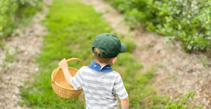 This New Jersey Blueberry Farm Is the Sweetest Family Day Trip of the Season