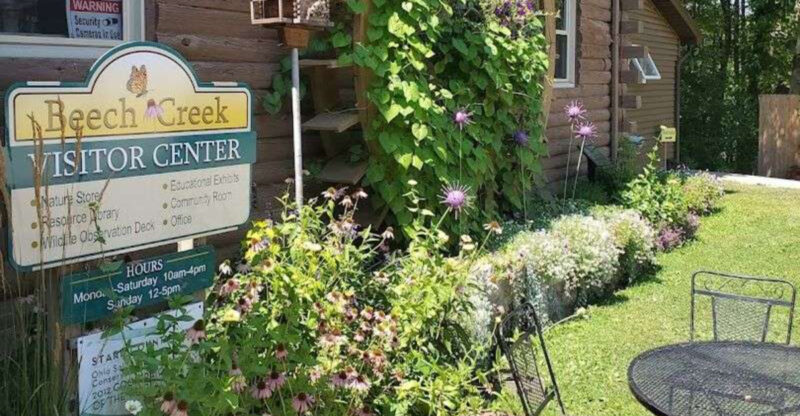 This Otherworldly Botanical Garden In Ohio Is Ideal For An Unforgettable Day Trip