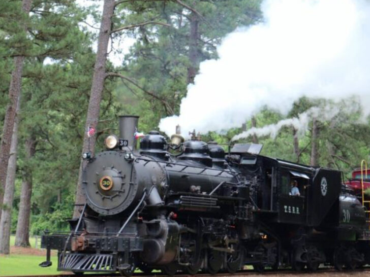 This Picturesque Texas Train Ride Is Perfect for a Relaxing Spring Day