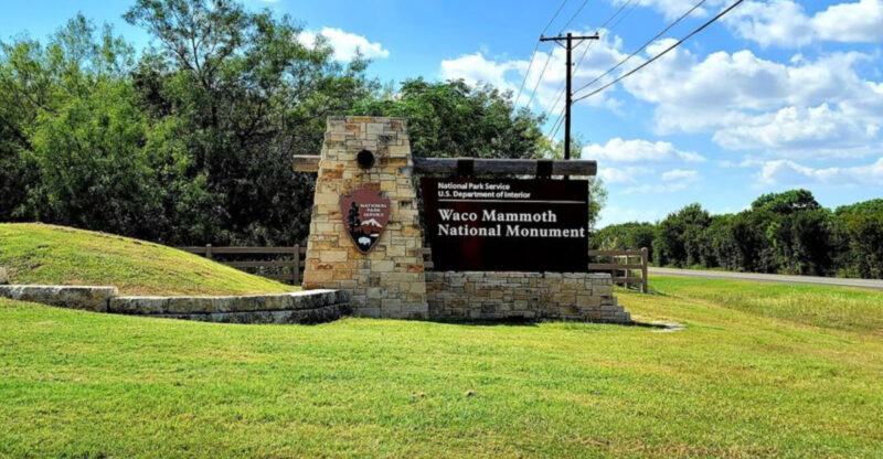 This Prehistoric Mammoth Herd Has Been Preserved for Thousands of Years in Texas
