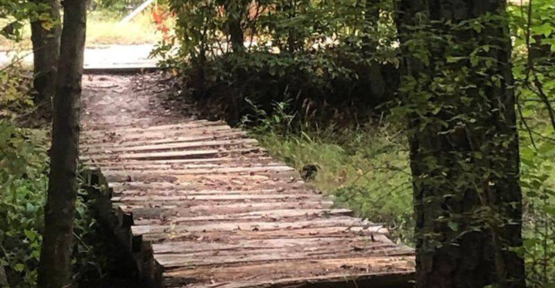 This Quiet New Jersey Wetland Trail Is a Dream for Nature Lovers