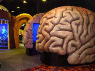 This Texas Attraction Is Unlike Any Museum You’ve Ever Seen