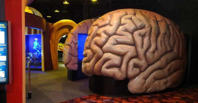 This Texas Attraction Is Unlike Any Museum You’ve Ever Seen