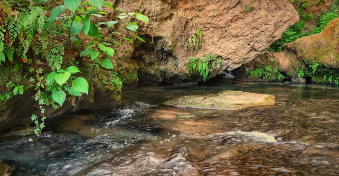 this texas canyon is a perfect march day trip for scenic views and photos