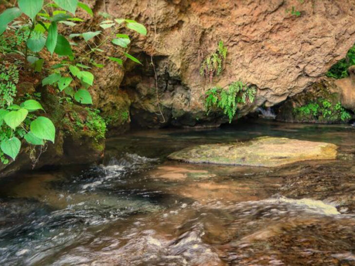 This Texas Canyon Is a Perfect March Day Trip for Scenic Views and Photos