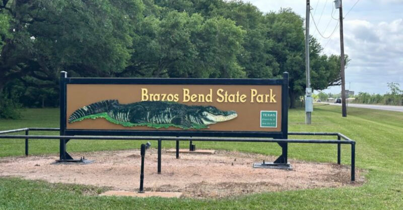 This Texas Park Is Packed with Hundreds of Wild Alligators