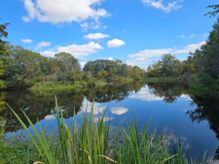 This Texas Preserve Lets You Hike Through Coastal Wetlands and Forest in One Day
