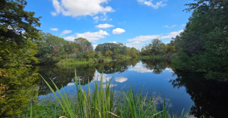 This Texas Preserve Lets You Hike Through Coastal Wetlands and Forest in One Day