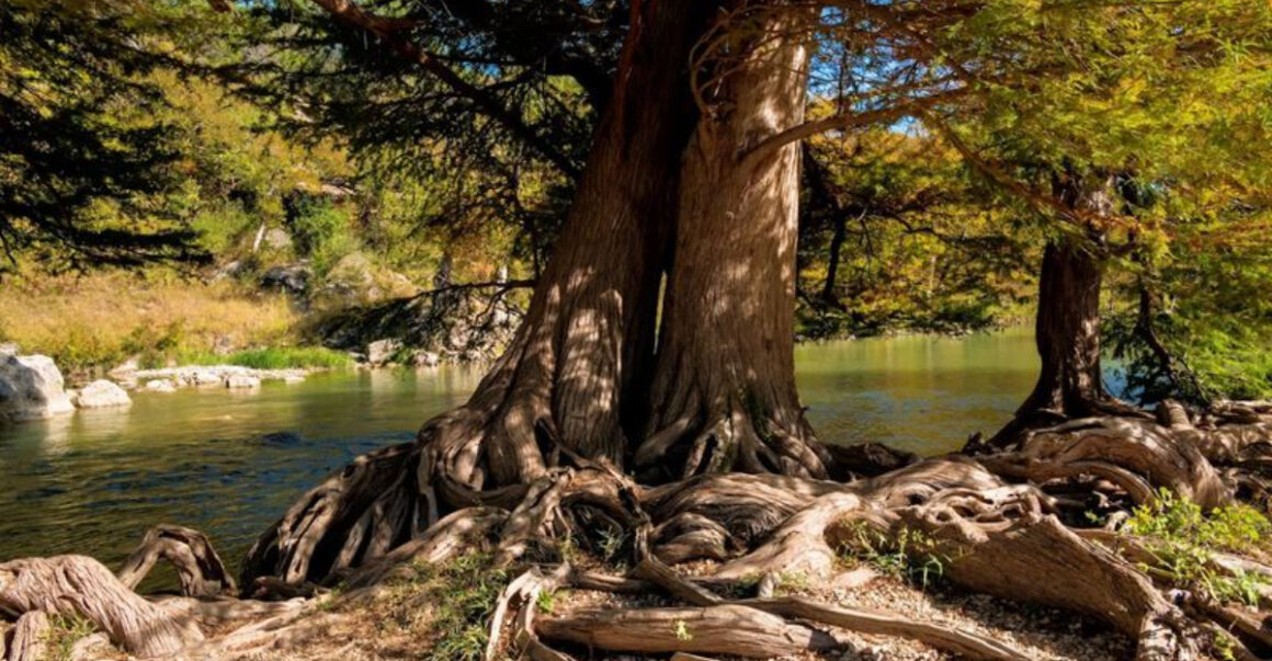 this texas state park is so underrated and absolutely worth the trip