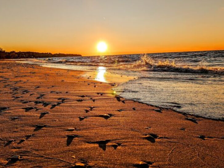 This Underrated Lake Beach In Ohio Is So Unknown, You&rsquo;ll Practically Have It All To Yourself