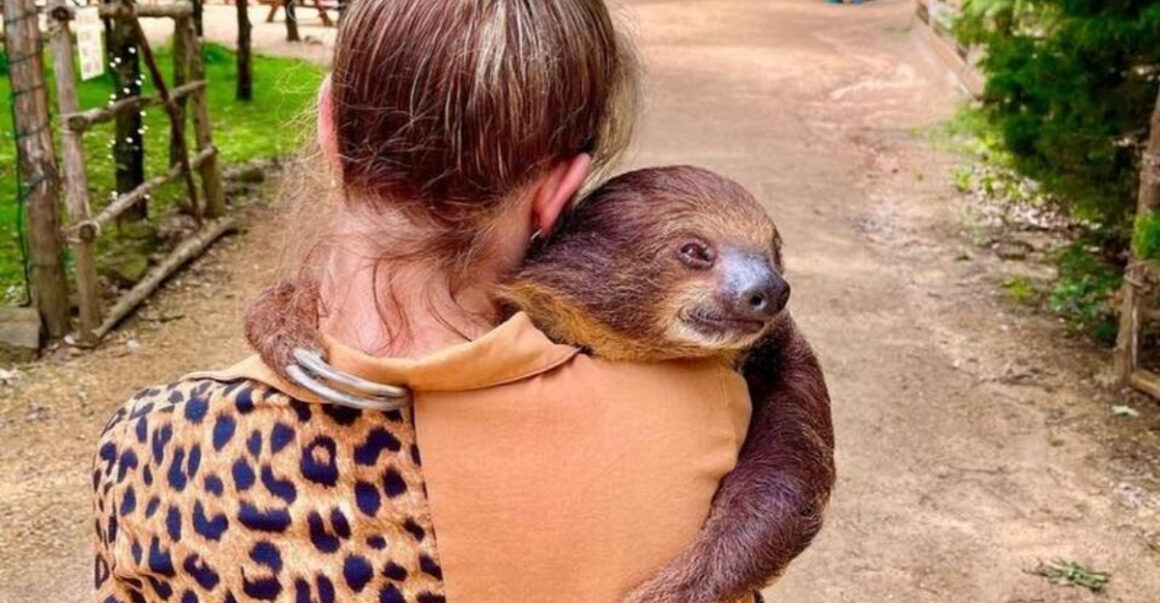 this unique texas ranch lets you eat dinner beside camels and snuggle a kangaroo 1