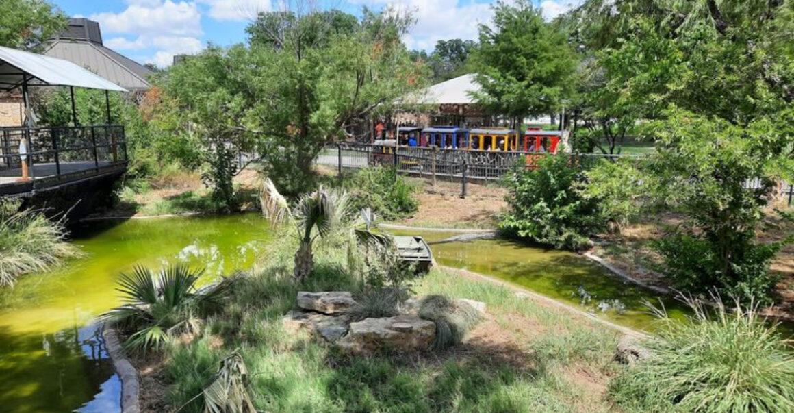 You Can Still Buy a Home Under $90,000 in This Texas City