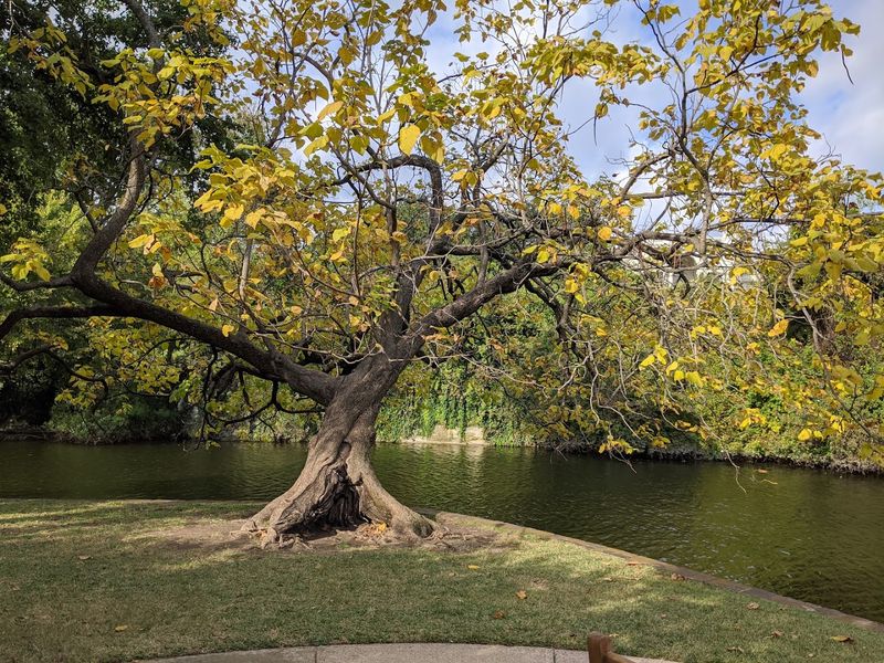 Local Etiquette and Safety