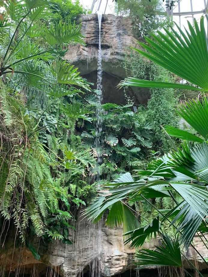 Houston Has a Hidden Butterfly Paradise You Probably Haven’t Seen Yet Photography Tips Inside the Dome