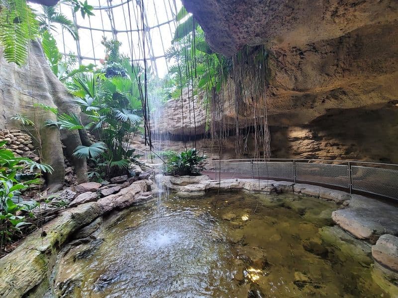 Houston Has a Hidden Butterfly Paradise You Probably Haven’t Seen Yet Family Friendly Game Plan