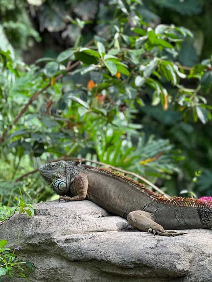 Houston Has a Hidden Butterfly Paradise You Probably Haven’t Seen Yet Accessibility, Comfort, and Care
