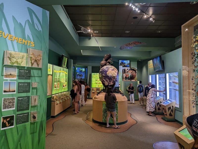 Houston Has a Hidden Butterfly Paradise You Probably Haven’t Seen Yet Ethics, Care, and What You Can Do