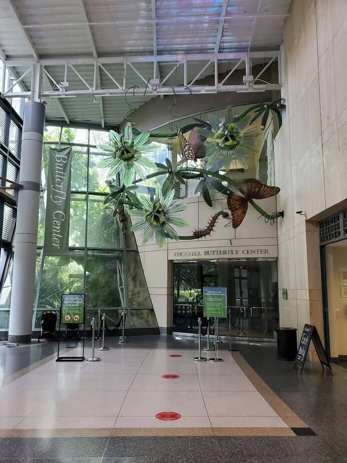 Houston Has a Hidden Butterfly Paradise You Probably Haven’t Seen Yet Logistics: Tickets, Parking, and Nearby Perks