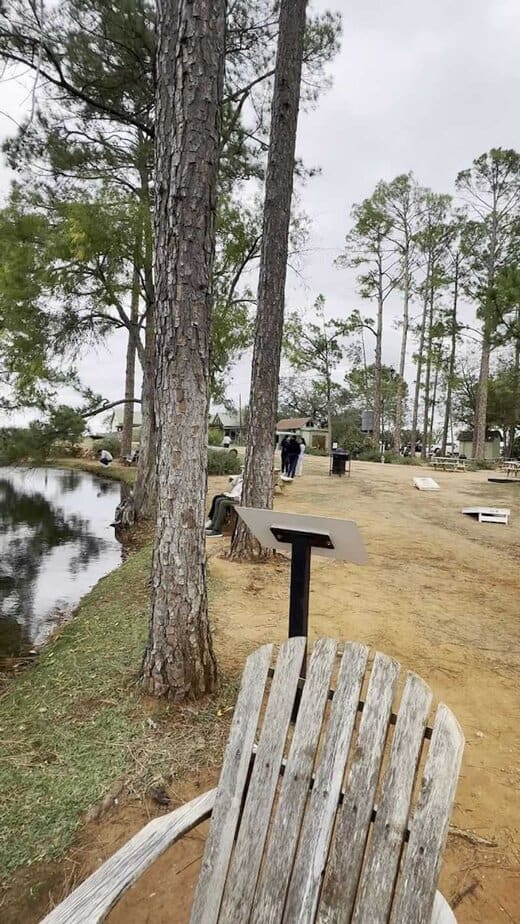 Pet-Friendly Policies That Welcome Your Furry Friends