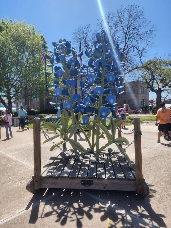 Perfect Timing with Nature's Show