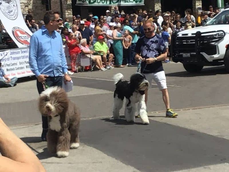 The Parade That Brings Everyone Together
