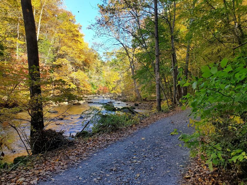 Why Anglers and Nature Lovers Keep Coming Back to This Stretch of River