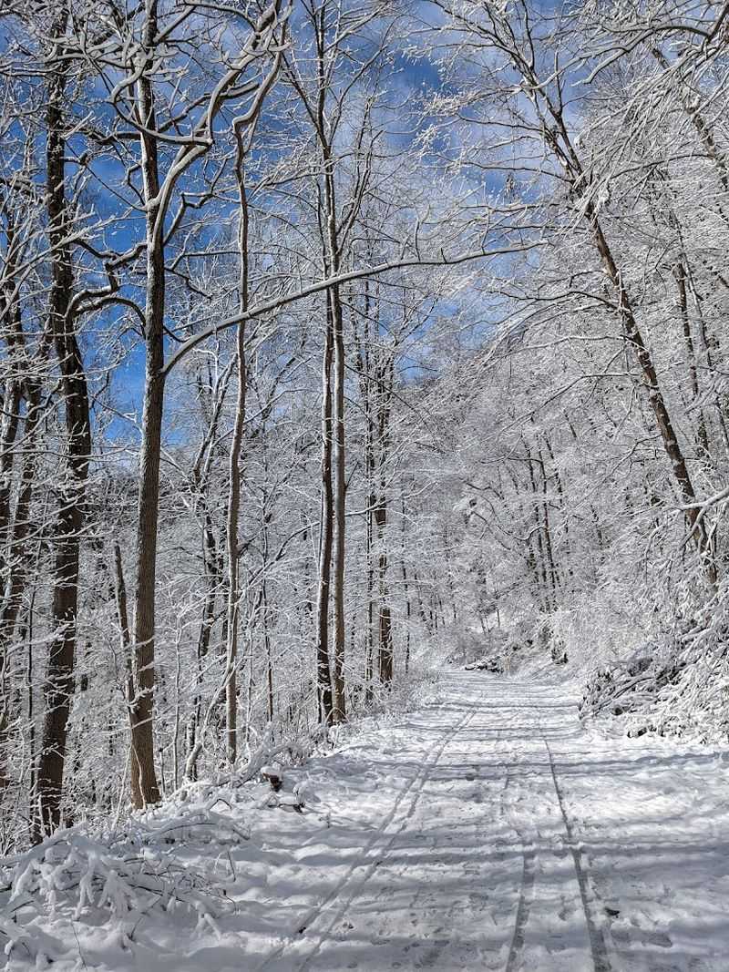 The Best Time of Year to See Ken Lockwood Gorge at Its Most Beautiful