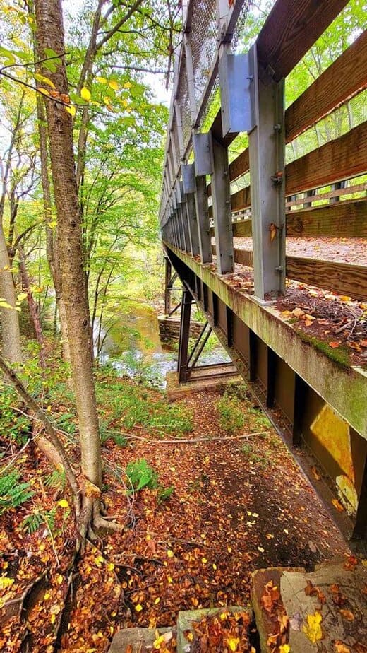 What to Know Before You Go for a Smooth Day on the Trails