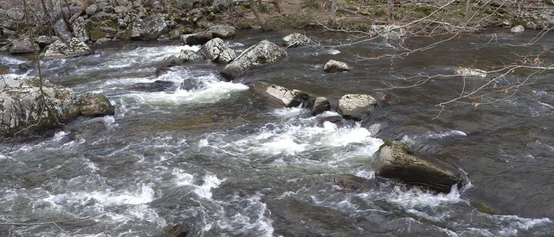 Why This Hunterdon County Escape Lives Up to the Hype