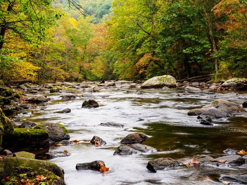 The River Views That Make Every Walk Here Worth It