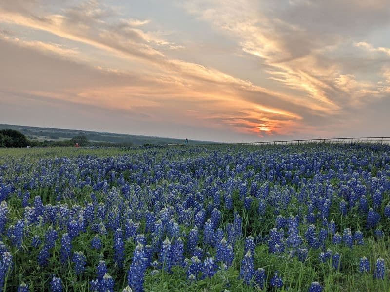 Photography Opportunities at Sunrise and Golden Hour