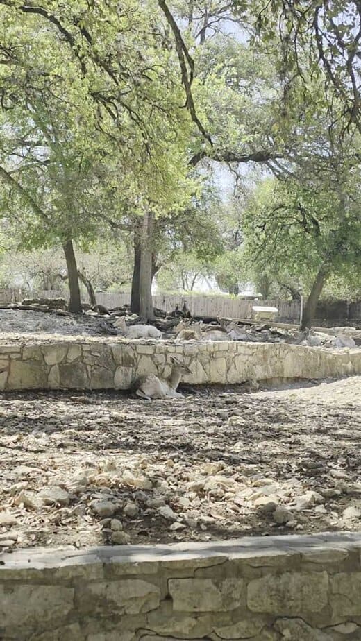 Picnic Areas That Save You Money