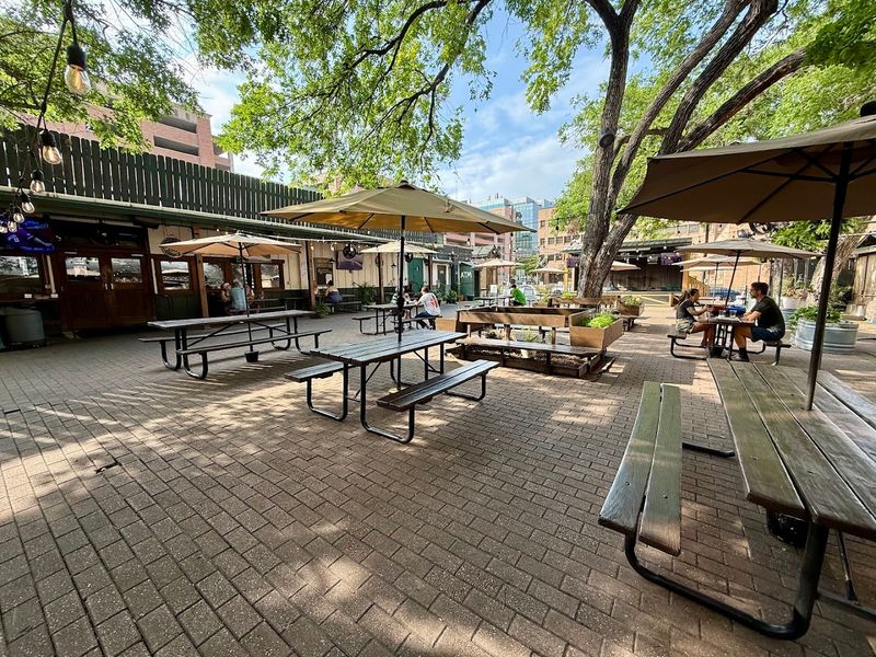 A First-Timer’s Perfect Scholz Rundown