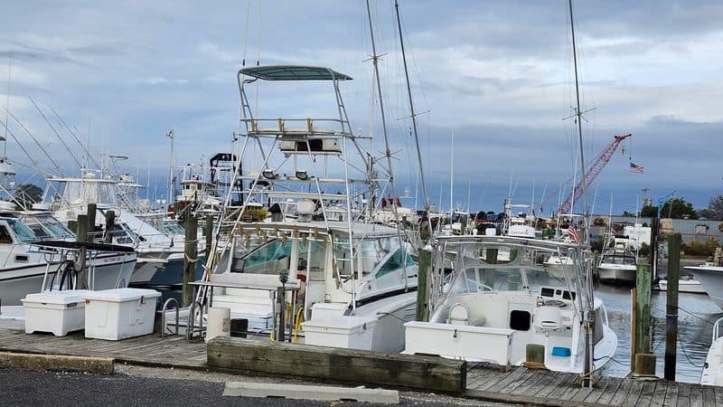 How Point Lobster brings the docks right to your plate