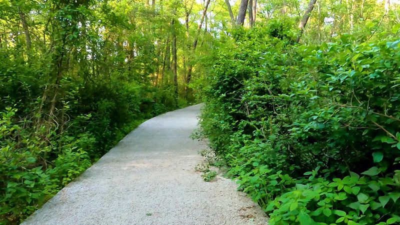 Why This Gibbsboro Trail Works for Casual Walkers and Regular Hikers Alike