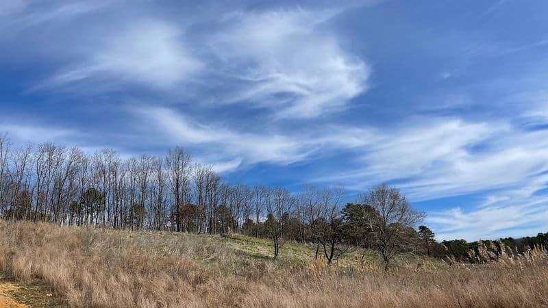 The Mix of Forest Paths Wetlands and Open Views That Keeps Things Interesting