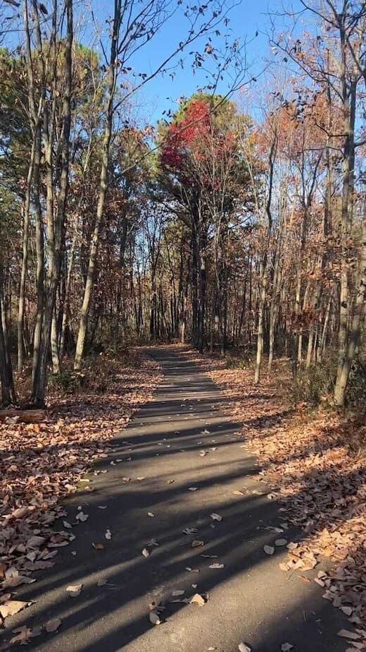 Why Blueberry Hill Feels Like One of New Jersey’s Most Rewarding Short Hikes